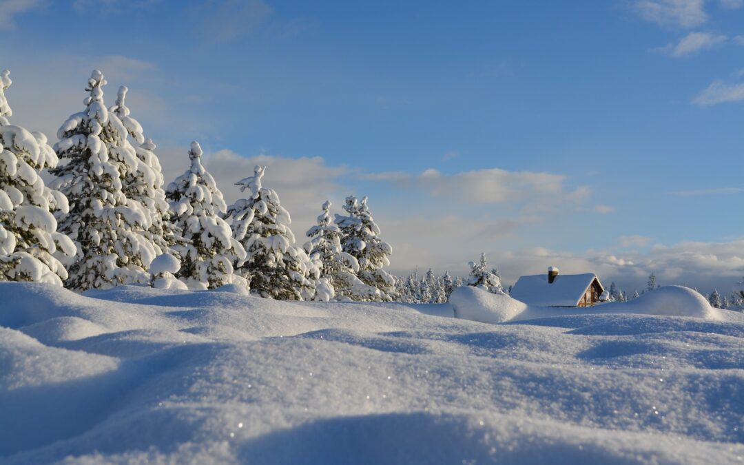 Snow Covered Field and Roof